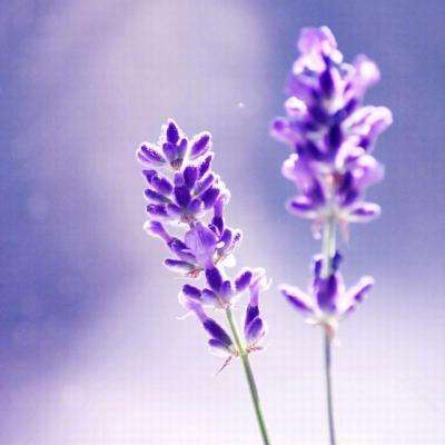 宝威体育手机app下载